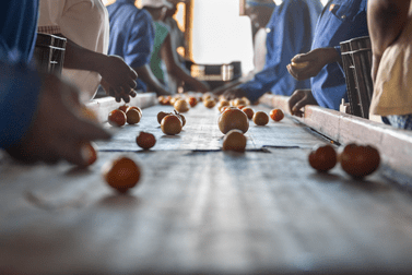 Sans titre – 2022-01-22T125242.941